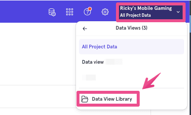 Data View Library Nav